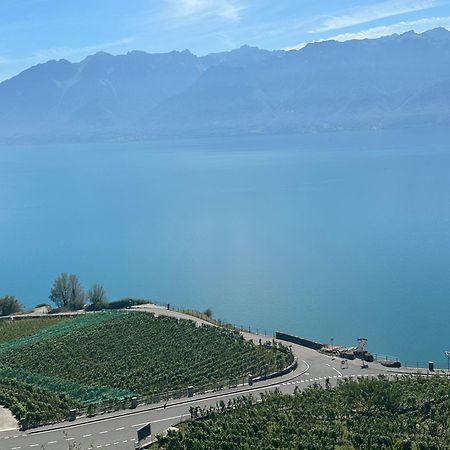 Room With 360° View Overlooking Lake Geneva And Alps Puidoux Εξωτερικό φωτογραφία