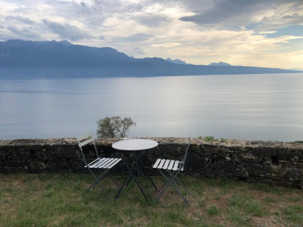 Room With 360° View Overlooking Lake Geneva And Alps Puidoux Εξωτερικό φωτογραφία