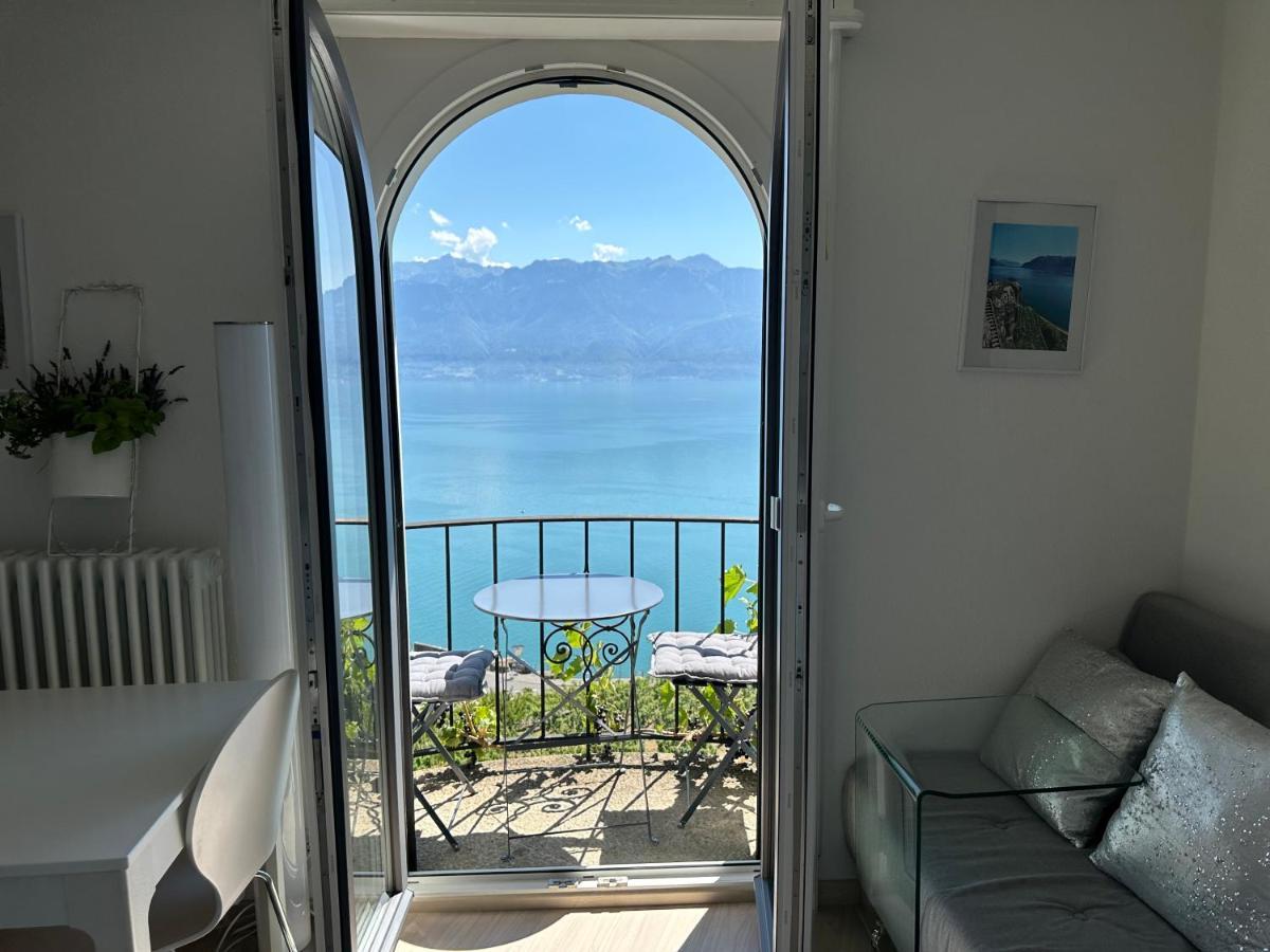 Room With 360° View Overlooking Lake Geneva And Alps Puidoux Εξωτερικό φωτογραφία