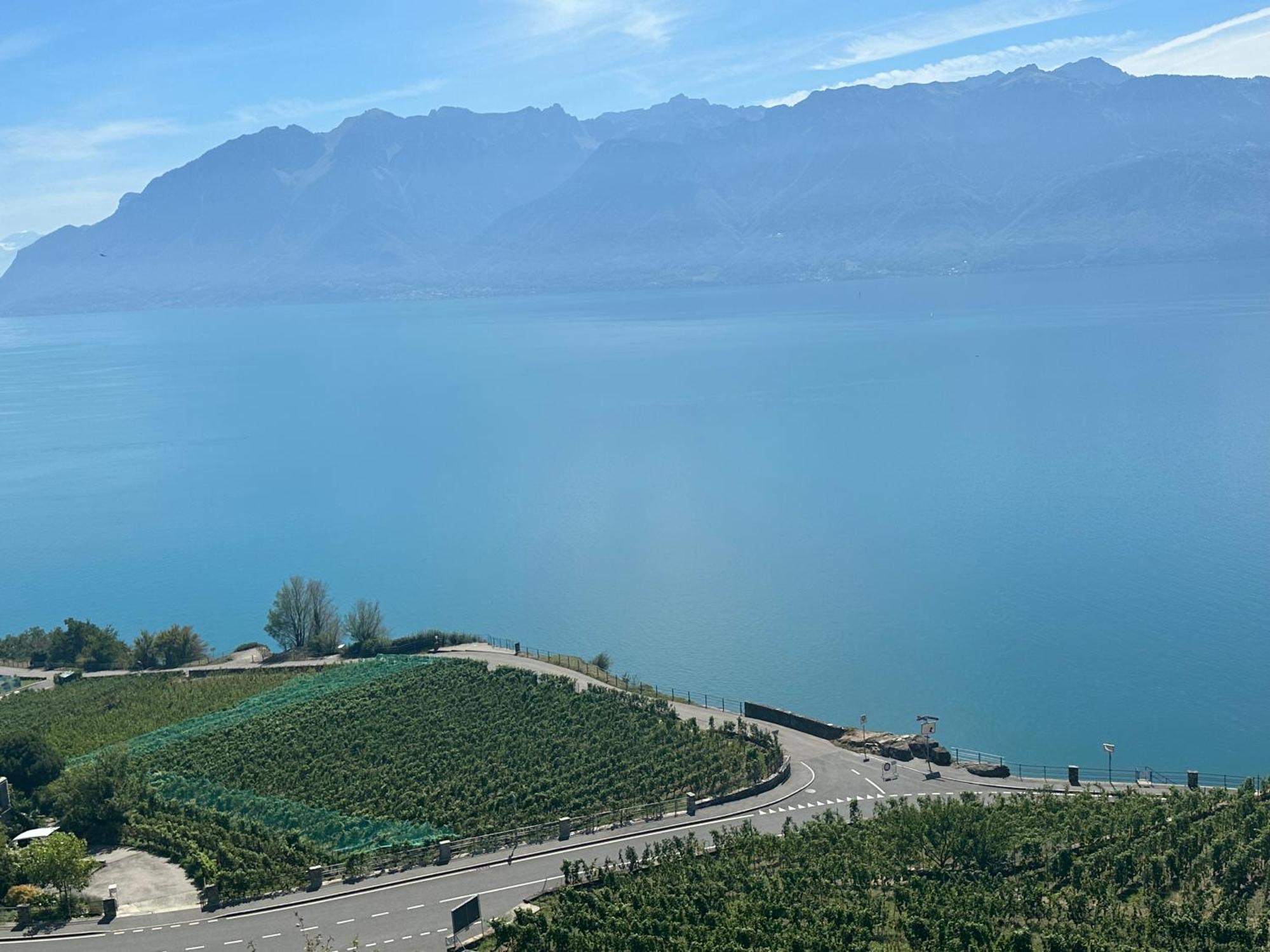 Room With 360° View Overlooking Lake Geneva And Alps Puidoux Εξωτερικό φωτογραφία